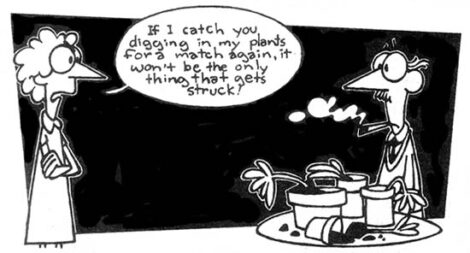 Country Lore: Match Trick for Transplant Shock Image